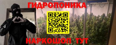 каннабис Ачхой-Мартан